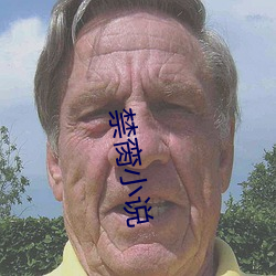禁脔小说