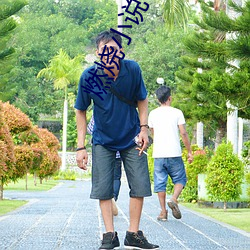 燃烧(shāo)小说