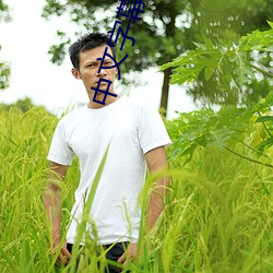 中文字幕乱码人在线视频1