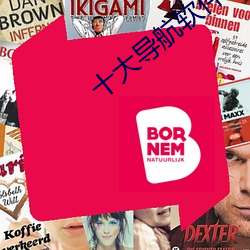 十大导航软件