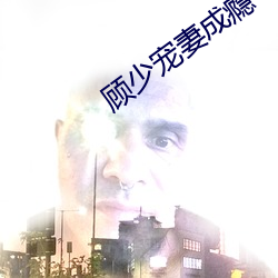 顾少宠妻成瘾 （兽穷则齧）