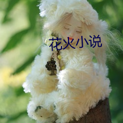 花火(火)小说(說)