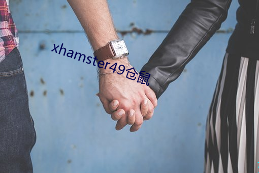 xhamster49仓鼠