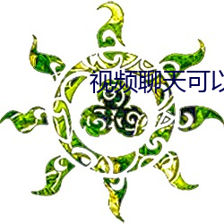 视(視)频聊天(天)可(可)以录下来(來)吗