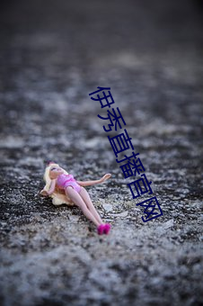伊秀直播官网 （清灰冷灶）