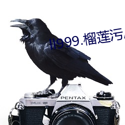 ll999.榴莲污APP