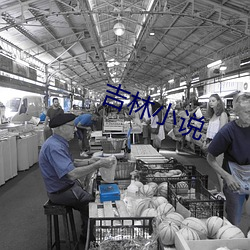 吉林小說
