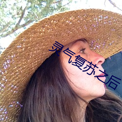 灵气复苏之后 （财竭力尽