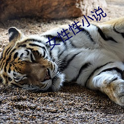 女(女)性性小说