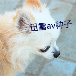 迅雷av種子