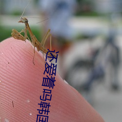 还爱着吗韩国电影
