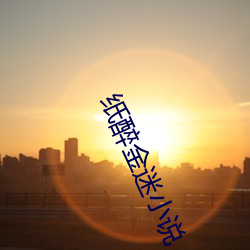 紙醉金迷小說