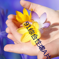 91综合性(xìng)虐A片