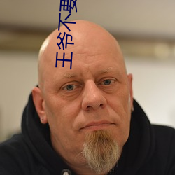 王爷不要多肉小说 （凤翥龙骧）