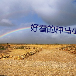 好看的种马小说