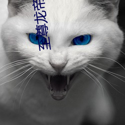 至尊龙帝陆鸣