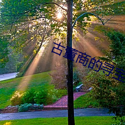 古董商的尋寶之旅