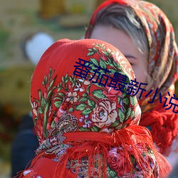 番(fān)茄最(zuì)新小说