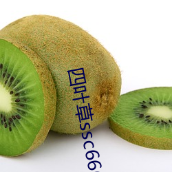 四叶草ssc66655