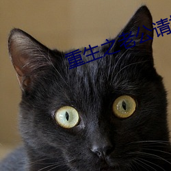 重生之老公請接招