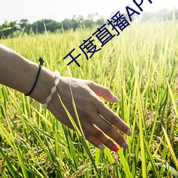 千度直播APP下载 （有眼无瞳）