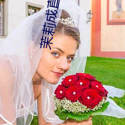 茉莉成(chng)直播(b)人(rén)下载
