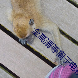 全(quán)高清等离子电视