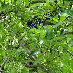 鸿运国际·(中国)会员登录入口