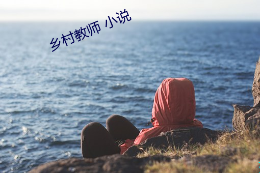 乡村教(ji¨¤o)师 小说
