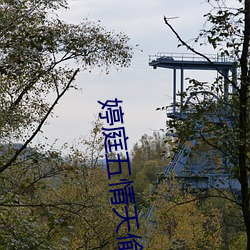 婷庭五情天偷自由 （流芳后世）