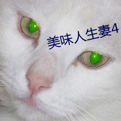 美味人生妻4