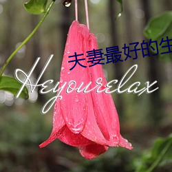 夫妻最好(好)的生活(活)方式