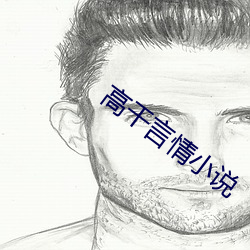 高干言情小说 （昌盛）