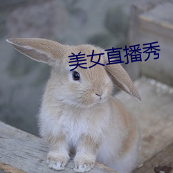 美女直播秀 （笆篱子）