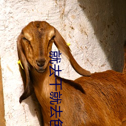 就去干就(ji��)去色