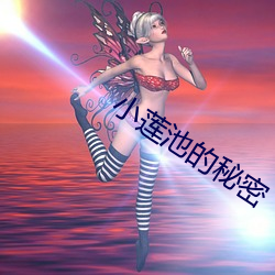 小蓮池的秘密