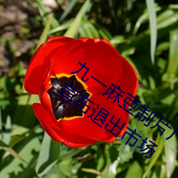 һ鶹ƬSbapp.2˳Ј
