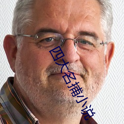 四大名捕小(xiǎo)说(shuō)
