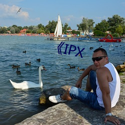 IPX