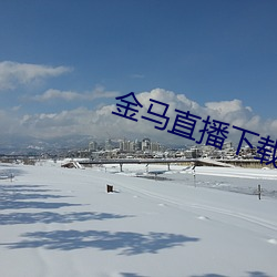 金(金)马(馬)直(直)播下载