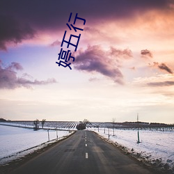 婷五行 （鹰觑鹘望）