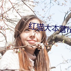 红猫大本营hongmao520
