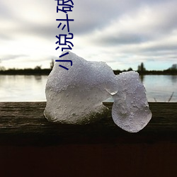 小说(shuō)斗破苍穹