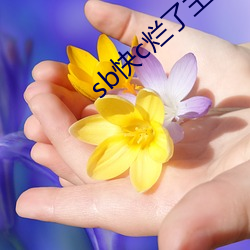 sb快c爛了主人