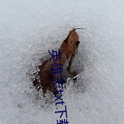 英(英)雄志(志)txt下载(載)
