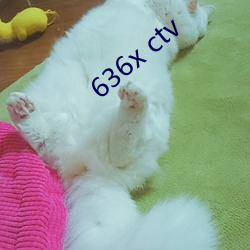 636x ctv 承前启后）