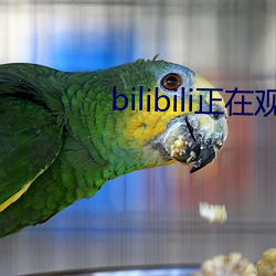 bilibili(zhng)ڹۿ