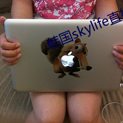 韩国skylife直播平台dmb