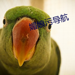 媚娘污导航