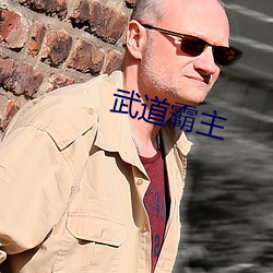 武道霸主 青州从事）
